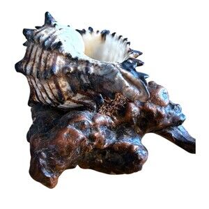 Vtg 70's Iron Wood & Conch Seashell Statue Artwork Nautical Home Decor Cottage